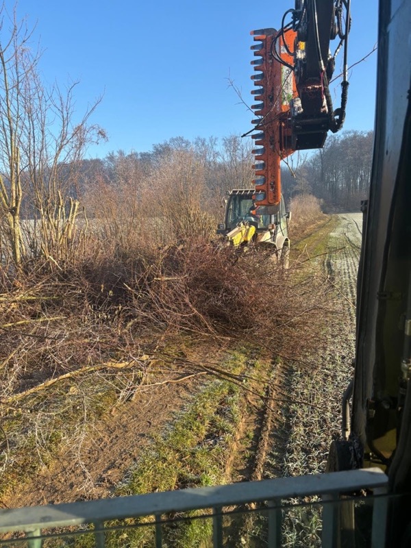 Baumpflege – Einsatzbild